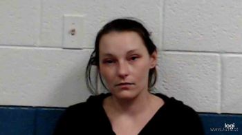 Amanda Sue Adkins Mugshot