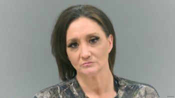 Amanda Michelle Davis Mugshot