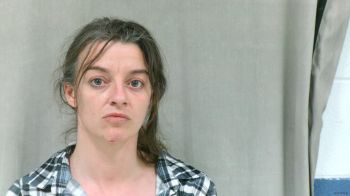 Amanda Dale Holstein Mugshot