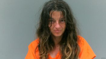 Amanda Dale Holstein Mugshot