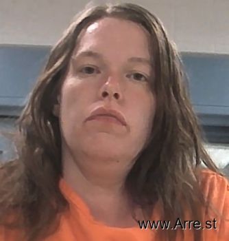 Amanda Elizabeth Howell Mugshot