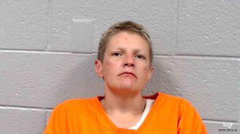 Amanda Lynn Kertesz Mugshot