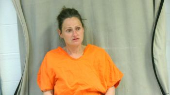 Amanda Lynn Law Mugshot