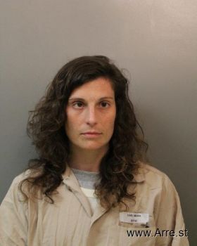 Amanda Renee Long Mugshot