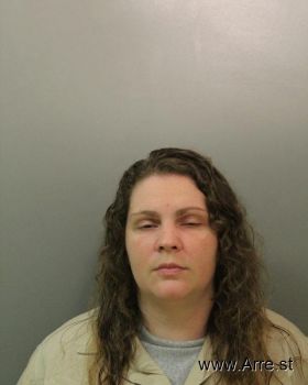 Amanda Nicole Long Mugshot