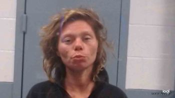 Amanda Sue Mills Mugshot