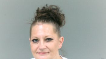 Amanda Dawn Tipton-collins Mugshot