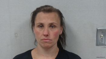 Amanda Ellen Turner Mugshot