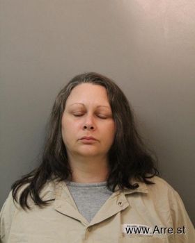 Amanda Lee Williams Mugshot