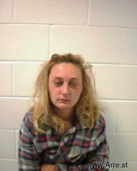 Amanda Danielle Dingess Mugshot