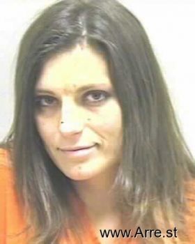 Amanda Renee Long Mugshot