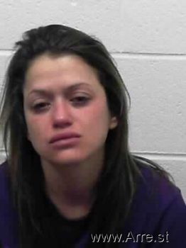 Amanda Nicole Tonkery Mugshot