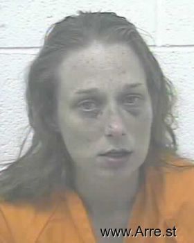 Amanda Suzanne Young Mugshot