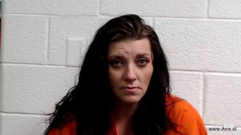 Amber Lee Cook Mugshot