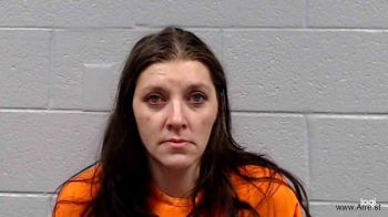 Amber Lee Cook Mugshot