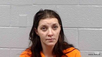 Amber Lee Cook Mugshot