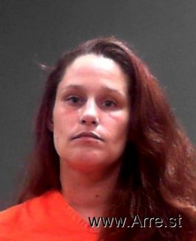 Amber Lynn Ellenwood Mugshot