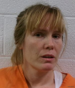 Amber Ann Hobday Mugshot