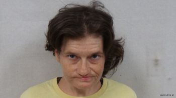 Amber Dawn Rogers Mugshot