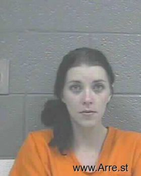 Amber Lee Cook Mugshot