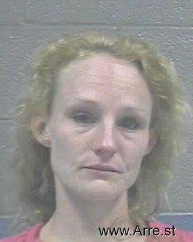 Amber Dawn Hines Mugshot