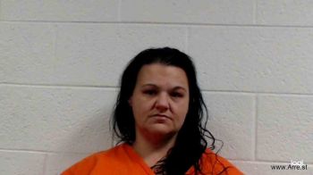 Amy Lynn Morrison Mugshot