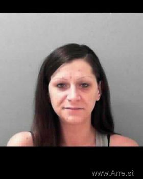 Amy Nicole Nelson Mugshot