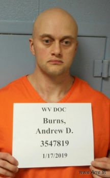 Andrew Don Burns Mugshot