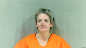 Anita Faye Blevins Mugshot