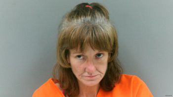 Anita Faye Blevins Mugshot