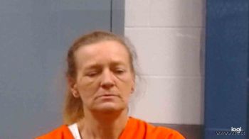 Anna Marie Clinton Mugshot