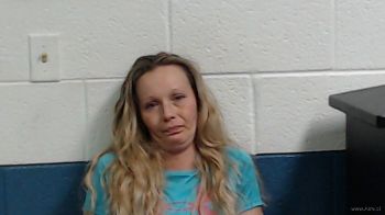 April Dawn Davis Mugshot