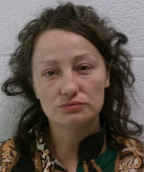 April Lynn Mcdaniel Mugshot