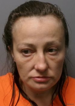 April Lynn Mcdaniel Mugshot