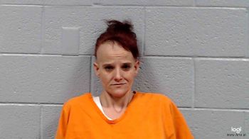 April Anne Roberts Mugshot