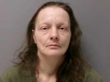 April Dawn Wentzell Mugshot