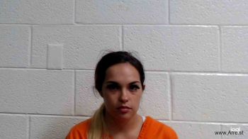 Ashley Nicole Anderson Mugshot