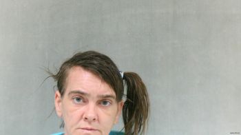 Ashley Lynn Mullins Mugshot