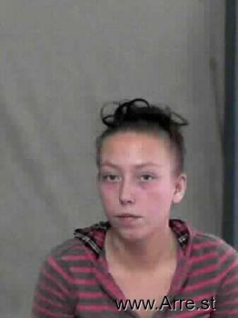 Ashley Renee Fries Mugshot