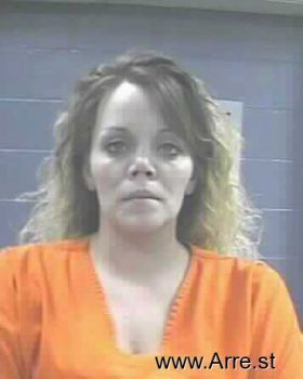 Ashley Marie Hamilton Mugshot