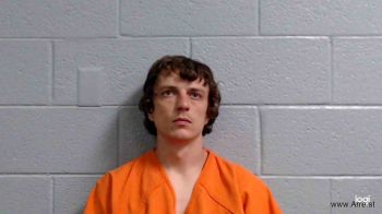 Austin Tanner Mathews Mugshot