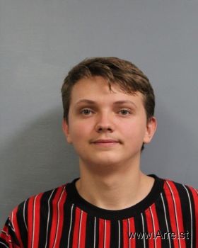 Austin Tyler Reed Mugshot