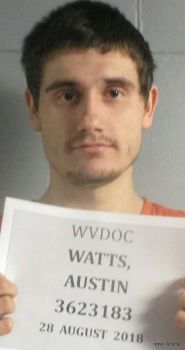 Austin Andrew Nash Watts Mugshot