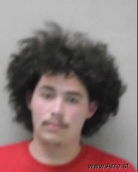 Austin Wesley Dotson Mugshot