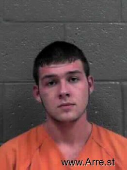 Austin Wade Holstein Mugshot