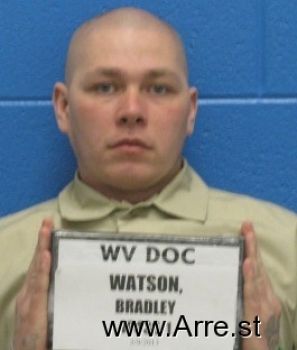 Bradley E Watson Mugshot