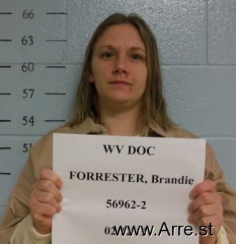 Brandie R Forrester Mugshot