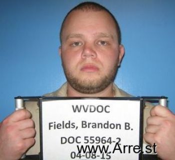 Brandon B Fields Mugshot