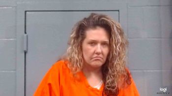 Beth Renee Meehling Mugshot