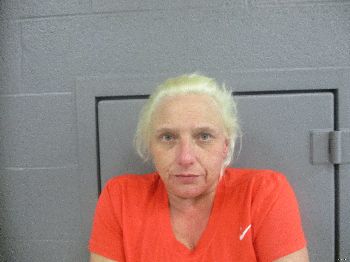 Bonnie Sue Bryant Mugshot